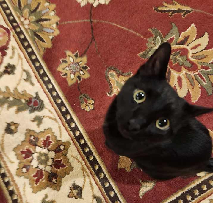 Photo of Nimbus