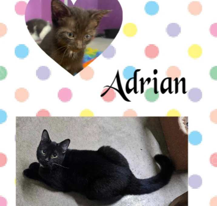 Photo of Adrian