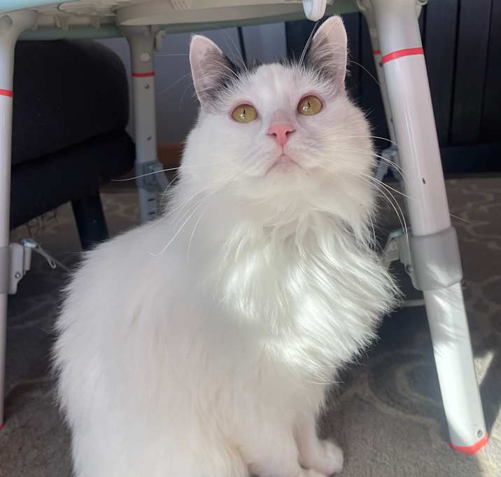 Photo of Maeve