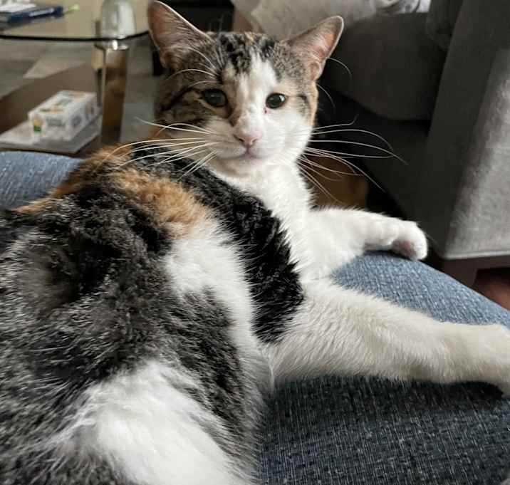 Photo of Maple & Luna