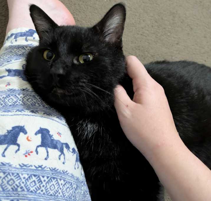 Photo of Aztec
