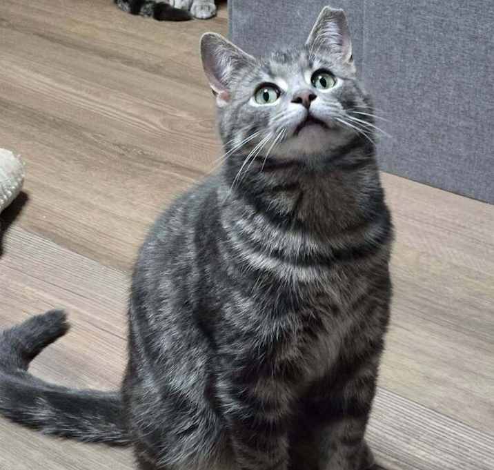 Photo of Arlo