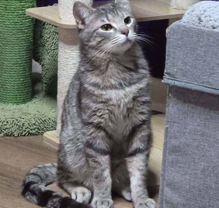 Photo of Astro