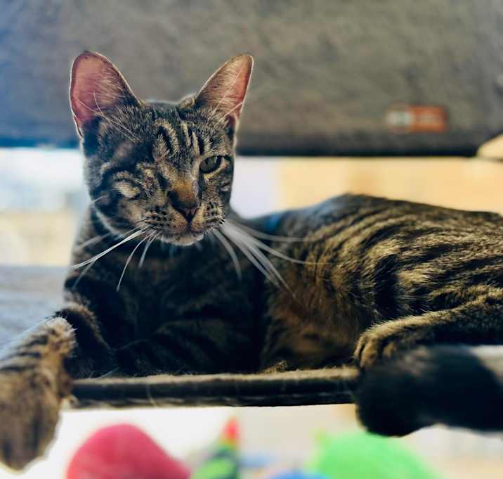 Photo of Spirit