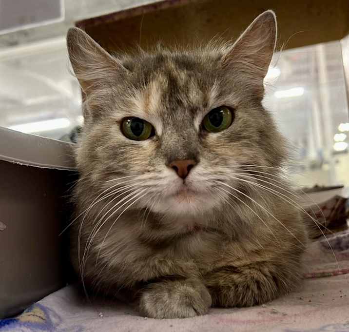 Photo of Junebug
