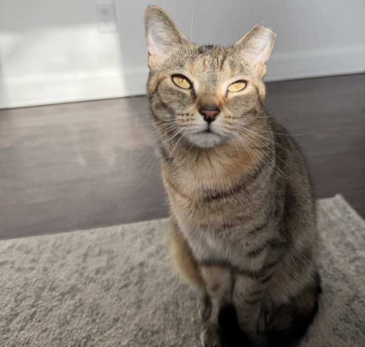 Photo of Nila