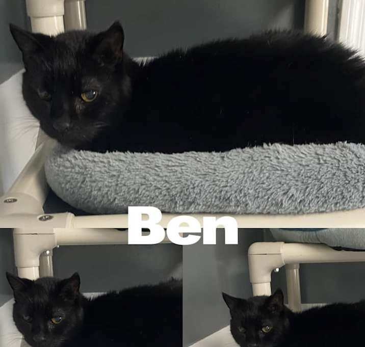 Photo of Ben