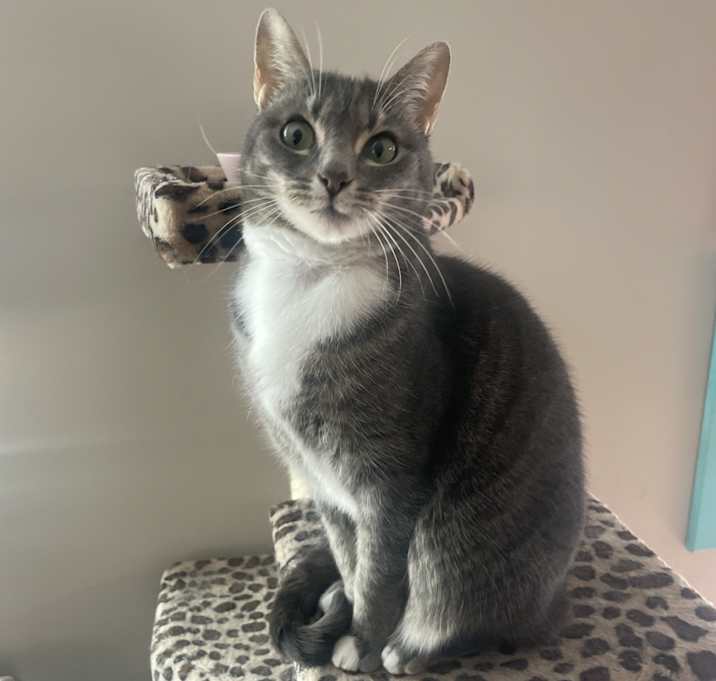Photo of Lily
