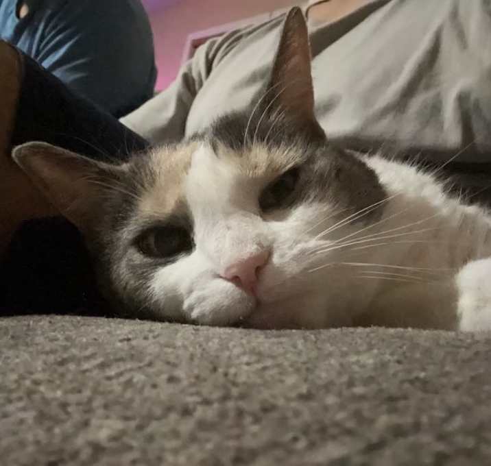 Photo of Nina
