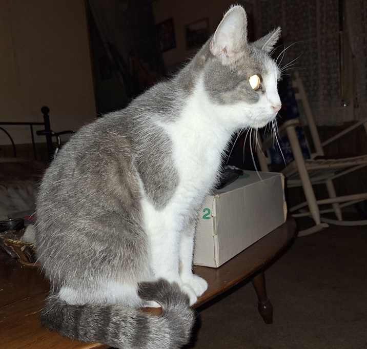 Photo of Alexis Lucindia Louise, LuLu for short