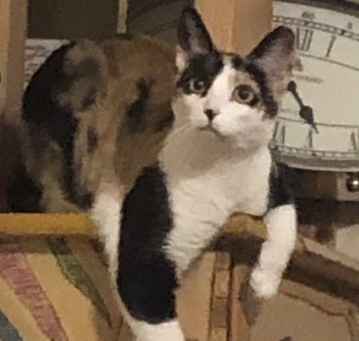 Photo of Kathy