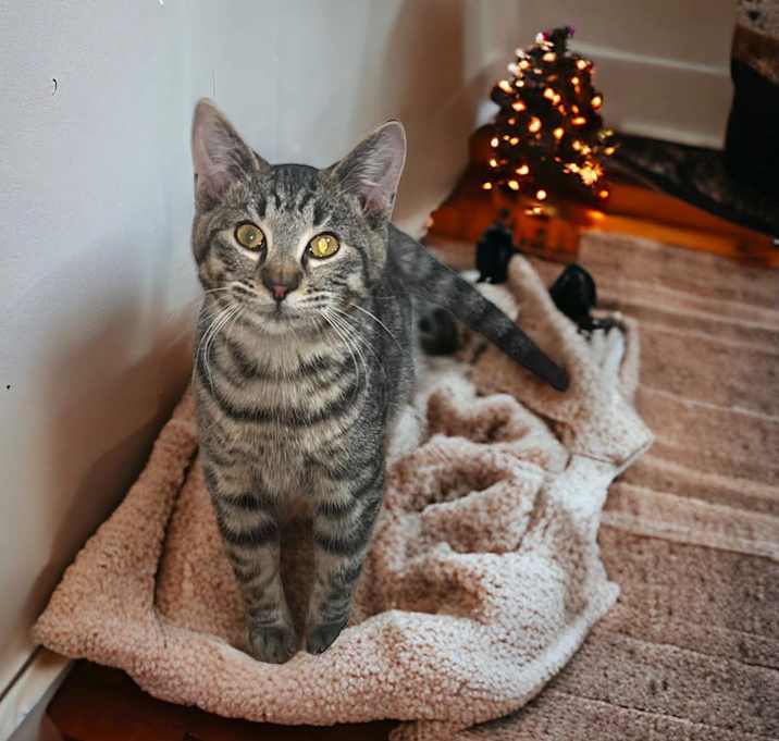 Photo of Tiny