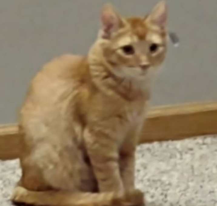 Photo of Tabberton