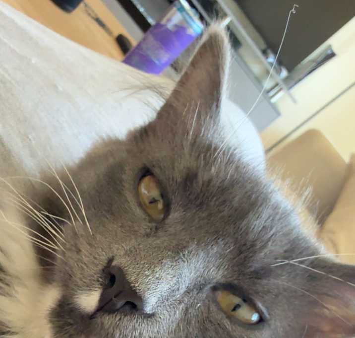 Photo of Socks
