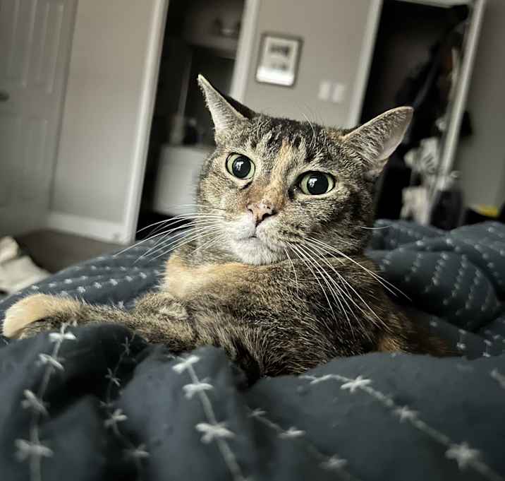 Photo of Mika
