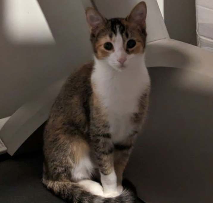 Photo of Lilith