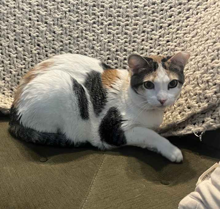Photo of Kalani