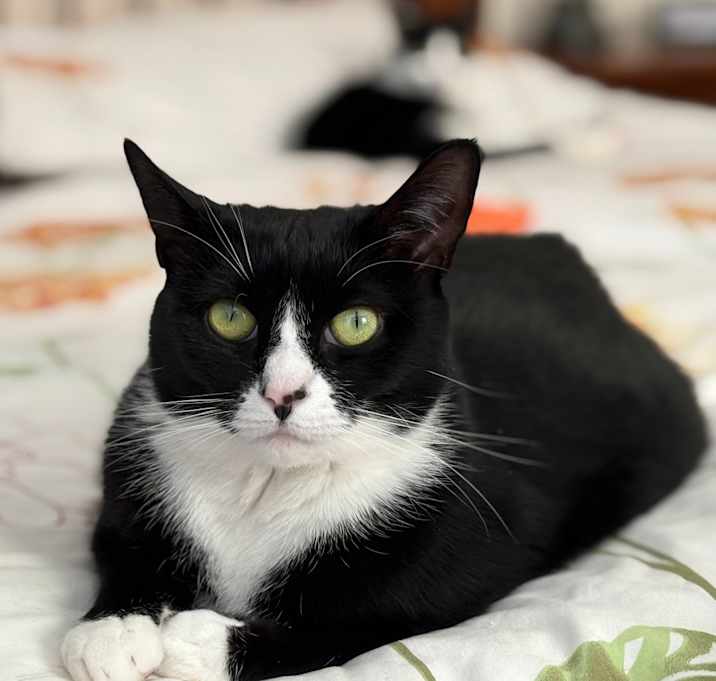Photo of Olivia