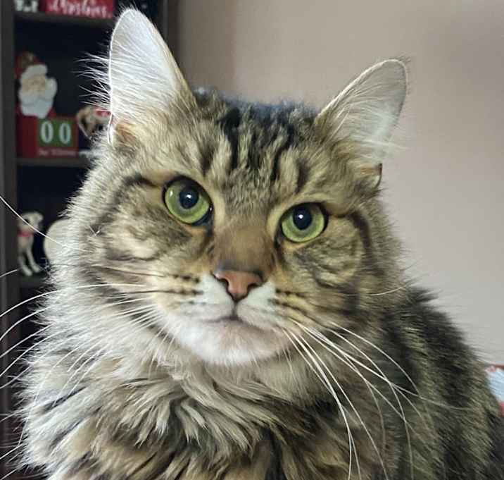 Photo of Jaxx