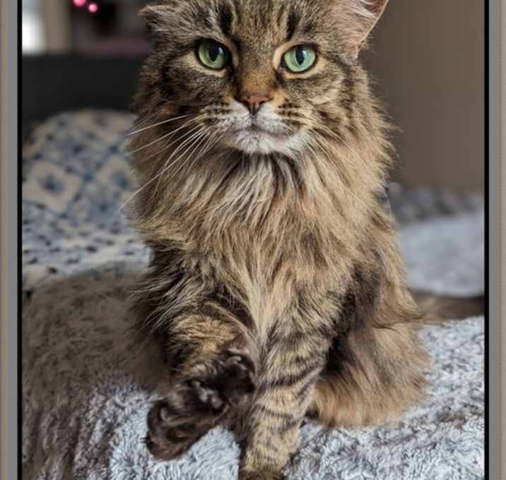 Photo of Matti