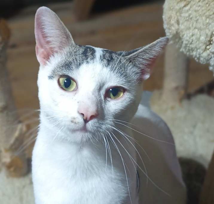 Photo of Rocket
