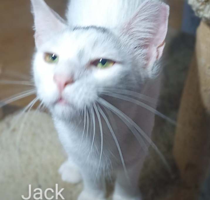 Photo of Jack