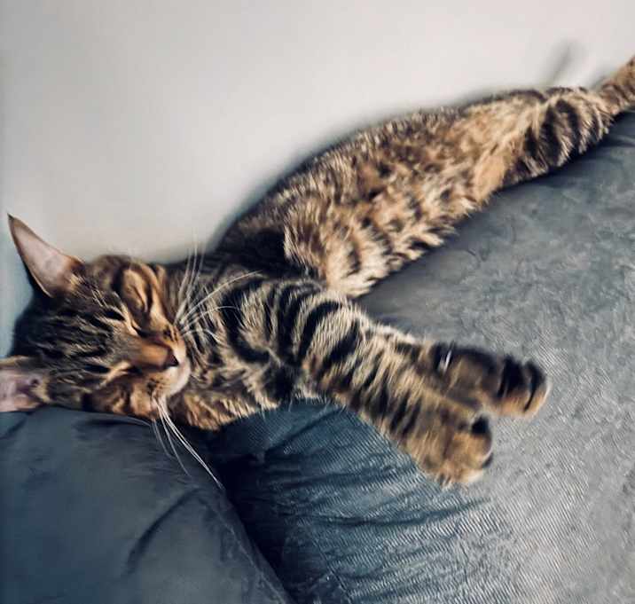 Photo of Sunny
