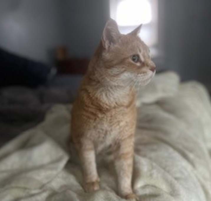 Photo of Augie