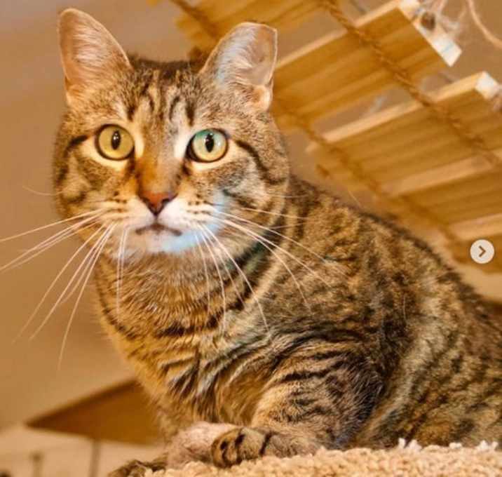 Photo of Polly