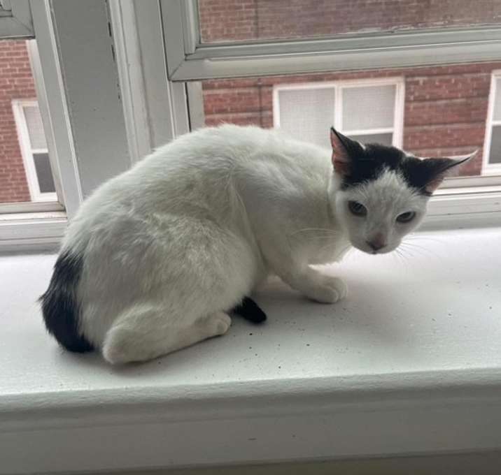 Photo of Elsa