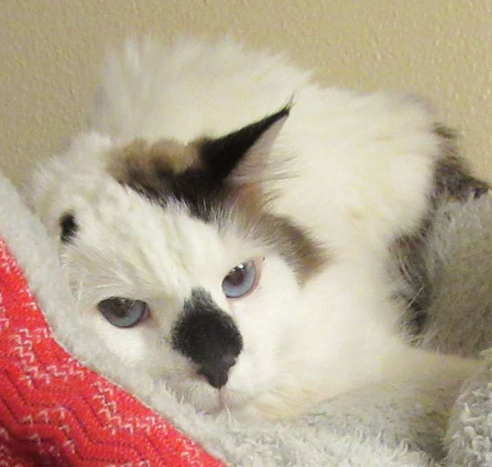 Photo of Joaquin