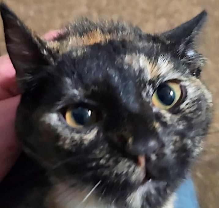 Photo of DAISY