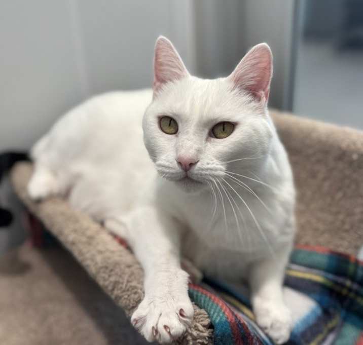 Photo of Sailor