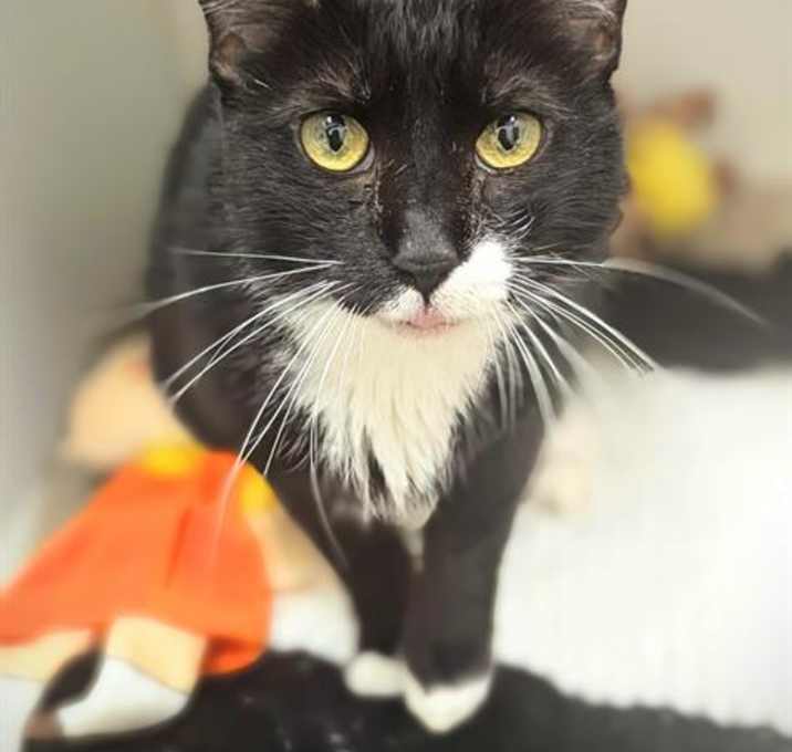 Photo of MINNIE
