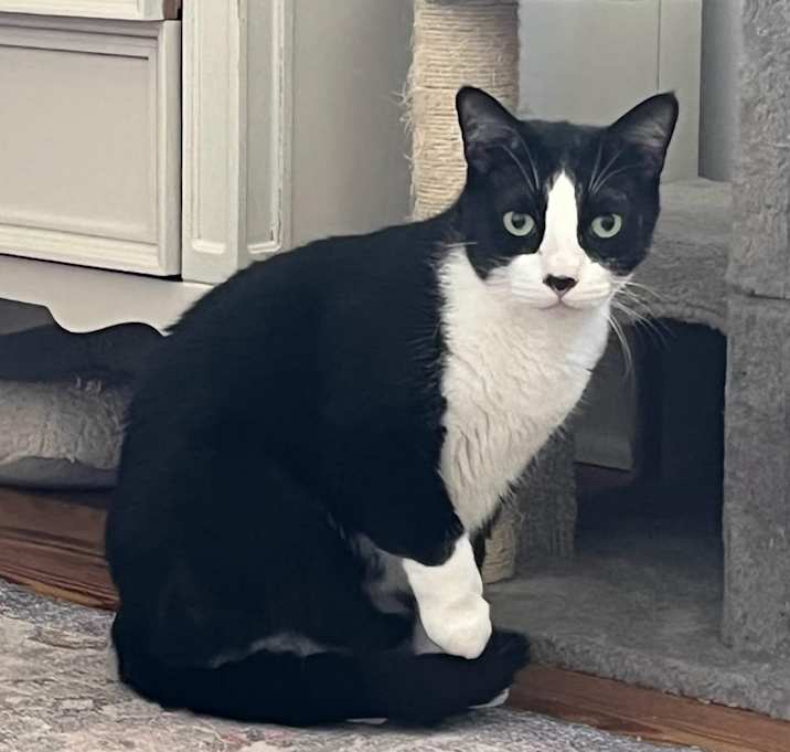 Photo of Tiko