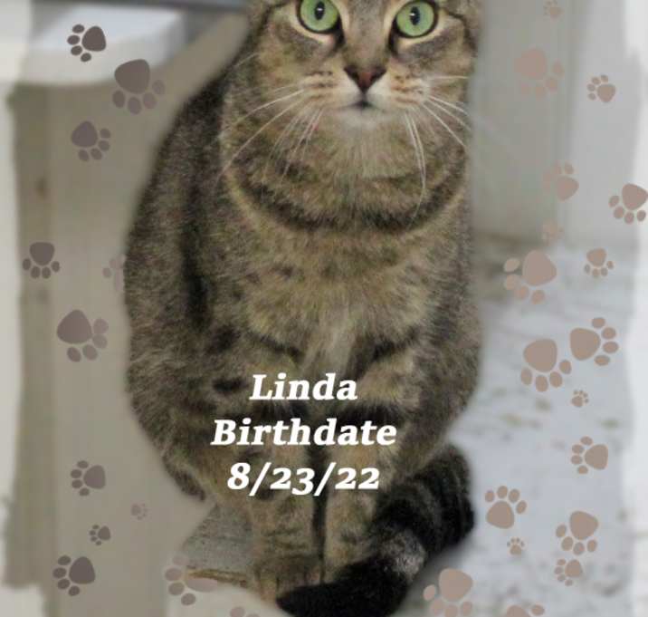 Photo of Linda