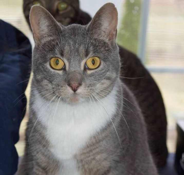 Photo of Frankie