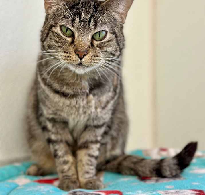 Photo of Roxie Rose