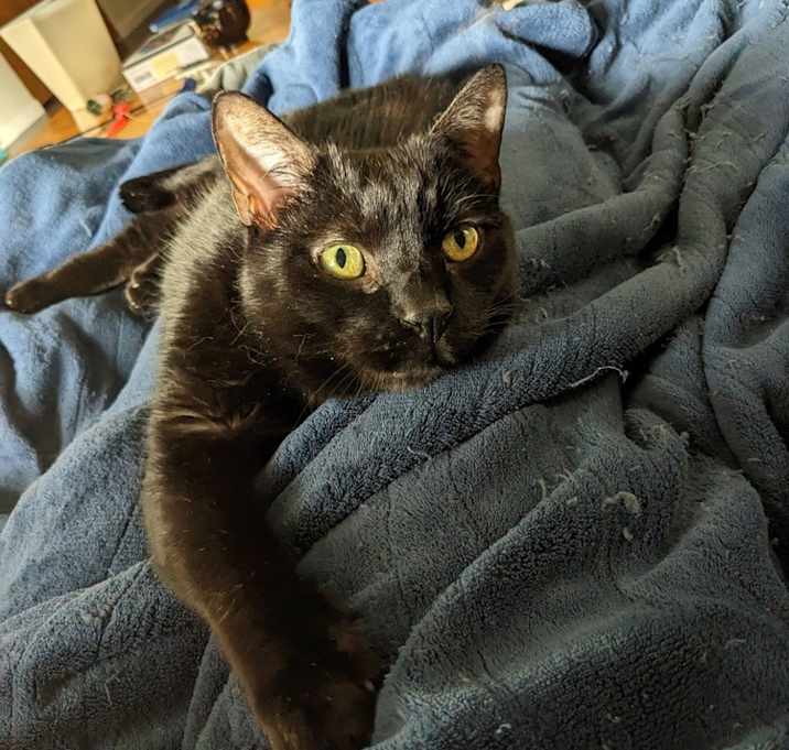 Photo of Felix