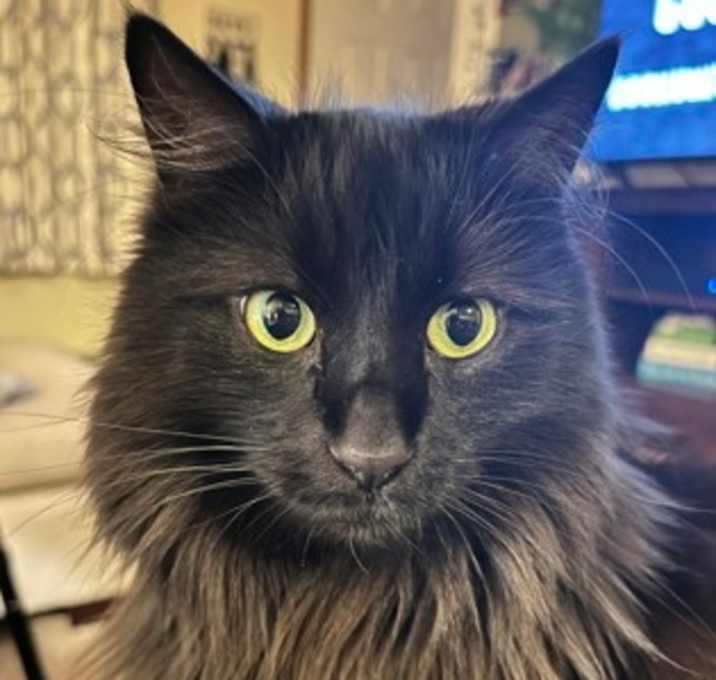 Photo of Mila