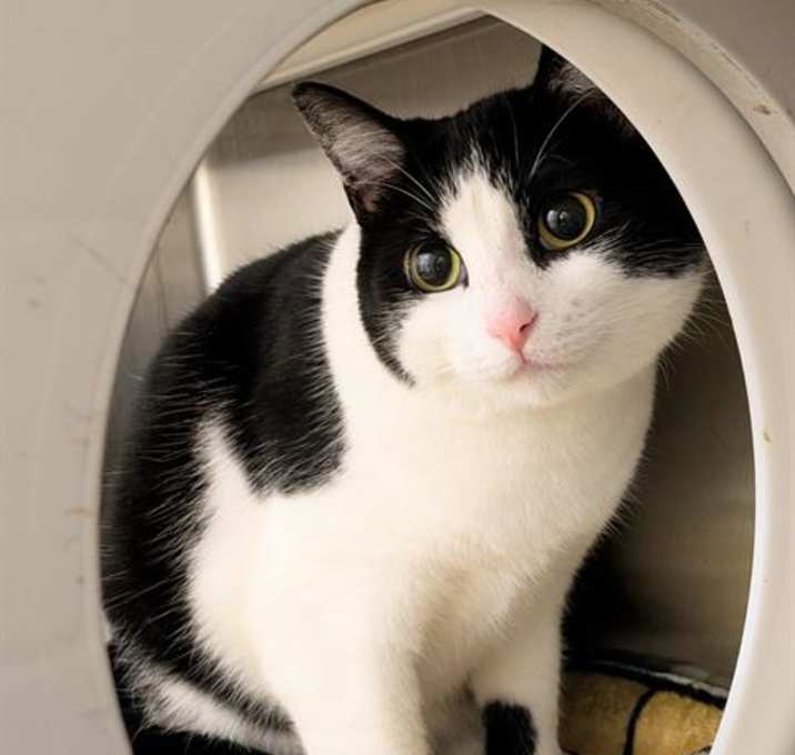 Photo of LUNA