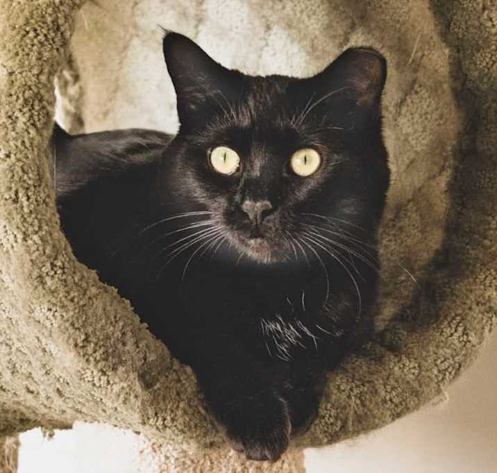 Photo of Belle