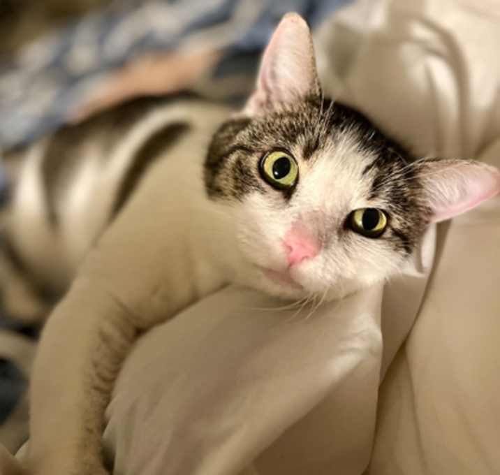 Photo of Annie