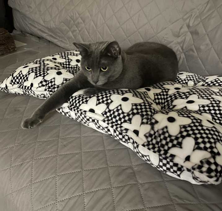 Photo of Lizzie and her brother Morgana