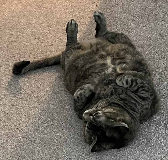 Photo of Gabby