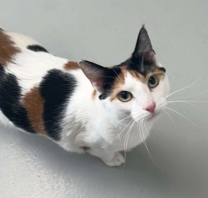 Photo of Fiona