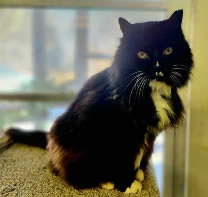 Photo of Darla