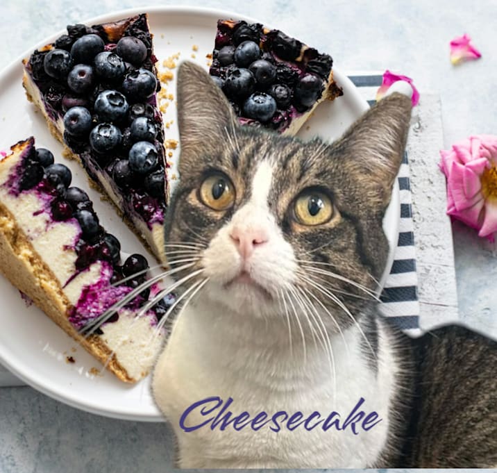 Photo of Cheesecake
