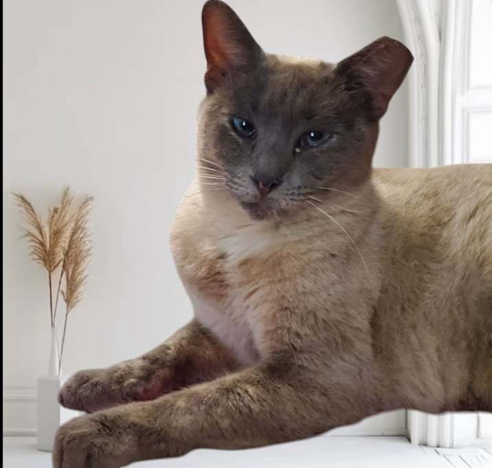 Photo of Marlo 4832