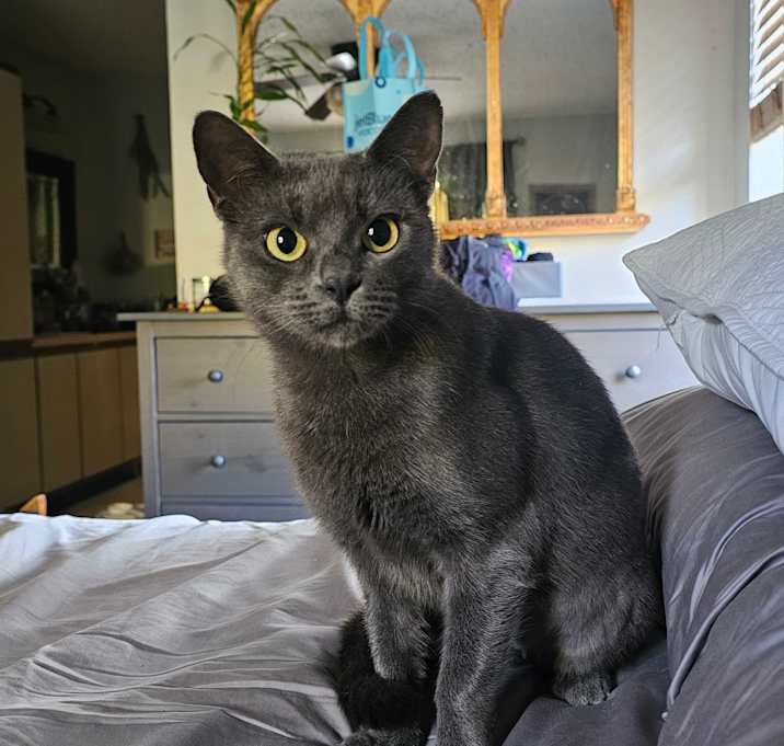 Photo of Teddy